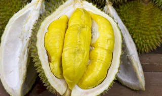 开口榴莲的储存方法 开口榴莲怎么保存
