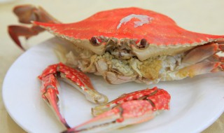 冻干梭子蟹肉的储存方法 冻干梭子蟹肉怎么储存