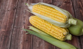 大量粘玉米保鲜储存方法 玉米保鲜的方法