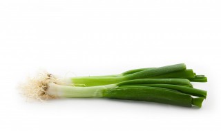 大葱在地窖里储存方法 大葱在地窖里储存有什么方法