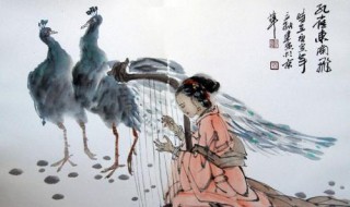 孔雀东南飞中相的意思 孔雀东南飞简介