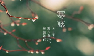 寒露节气祝福 寒露节气祝福语