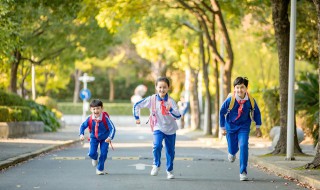 小升初网上报名怎么填 小学升初中怎么在网上报名