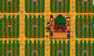 星露谷物语第二年春天种什么 星露谷物语第二年春天种哪些植物