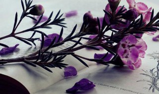 尽职尽责的近义词 尽职尽责的近义词有什么