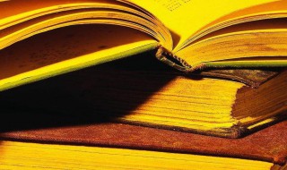 缩影的意思 缩影的解释