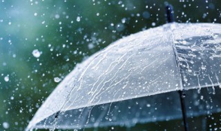 关于下雨天的幽默句子 关于下雨天的幽默经典句子