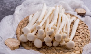 玉菇怎么挑 玉菇挑选方法