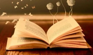 消融的意思 消融的解释