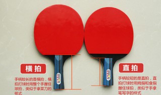 乒乓球直拍和横拍的区别 乒乓球直拍和横拍的区别介绍