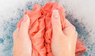 立白多用漂白水怎么漂白衣服 怎么漂白衣服立白多用漂白水