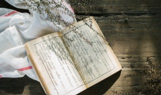 含蓄隽永什么意思 含蓄隽永的解释