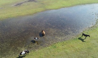 我国重点治理的三湖 我国重点治理的三湖介绍