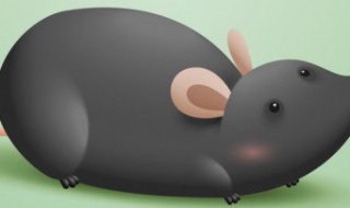 老鼠笼子如何反复用 老鼠笼子如何才可以反复用