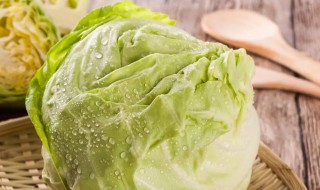 卷心菜是凉性还是热性 卷心菜是凉性的吗