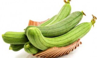 夏天丝瓜储存方法 夏天丝瓜储存方法简单介绍