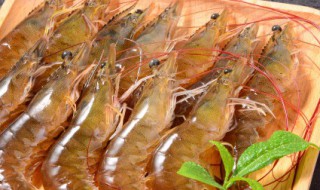 储存大虾方法 储存大虾方法是什么