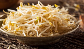 黄豆芽储存保鲜方法 黄豆芽怎么储存保鲜