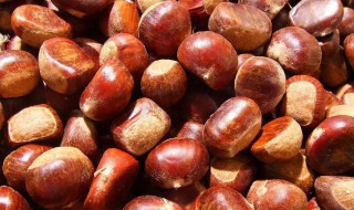 栗子怎么去皮壳 栗子去皮壳的方法