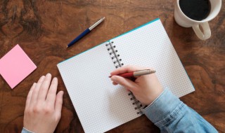 巢组词和拼音 汉字巢组词