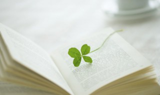 硬的拼音和组词 硬怎么读