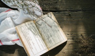 任的组词和拼音 任怎么读