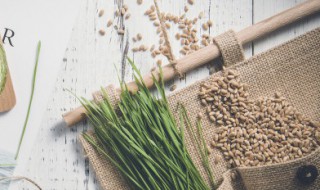 河南小麦储存方法 怎样储存河南小麦