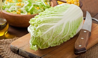 煮白菜的储存方法 煮白菜的保存方法