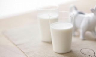 水牛奶怎么煮 水牛奶烹饪方法