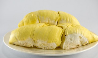 青尼榴莲口感怎么样 关于青尼榴莲口感介绍