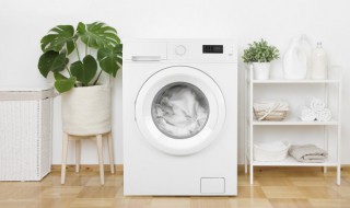 洗衣机里有毛毛怎么办 怎样清除洗衣机里的毛毛