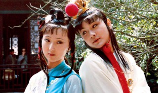 林黛玉的性子歇后语 林黛玉个人简介