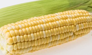 玉米面饼子怎么做好吃 玉米面饼子如何做好吃