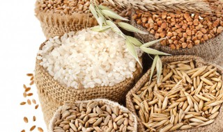 种植水稻的储存方法 种植水稻如何储存