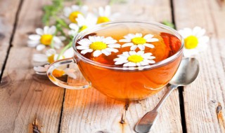 茉莉茶的储存方法 怎么储存茉莉茶