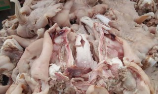 怎么清洗羊肚子 清洗羊肚子的方法