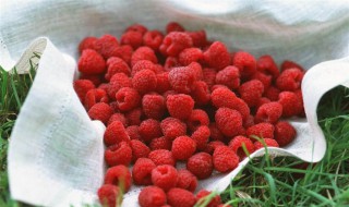 红树莓怎么洗 红树莓的清洗方法