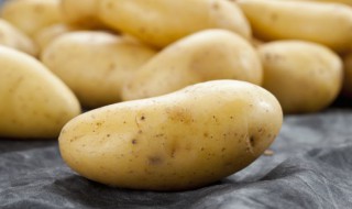 土豆和豆腐怎么做好吃 土豆和豆腐的烹饪方法