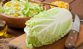 豆腐白菜怎么做 豆腐白菜的烹饪方法