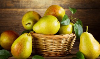 梨树怎么繁殖 梨树繁殖方法