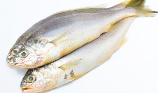 家庭自制酸梅汁蒸五邑 家庭自制酸梅汁蒸五邑的做法