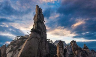 三龙出海是什么意思 三龙出海形成原因