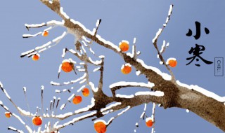 小寒代表什么含义 小寒代表什么