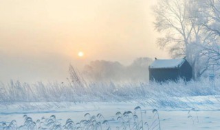 数九寒冬第一九开始于什么时候 数九寒冬第一九从什么时候开始