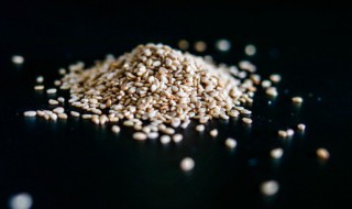 白芝麻生虫子了怎么办 白芝麻生虫子了的解决方法