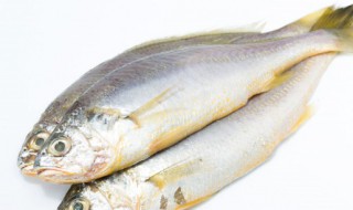 鱼冷冻保鲜窍门 鱼冷冻保鲜窍门有什么