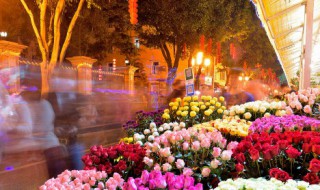 鲜花保鲜的窍门 鲜花保鲜技巧