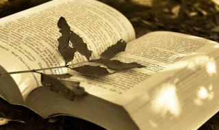 名人名言积德行善的句子 名人名言积德行善的经典语录