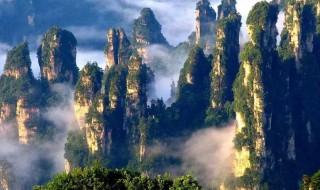 关于张家界的优美句子 关于张家界的优美句子精选