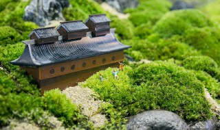 苔古诗青春的意思 苔古诗青春的释义